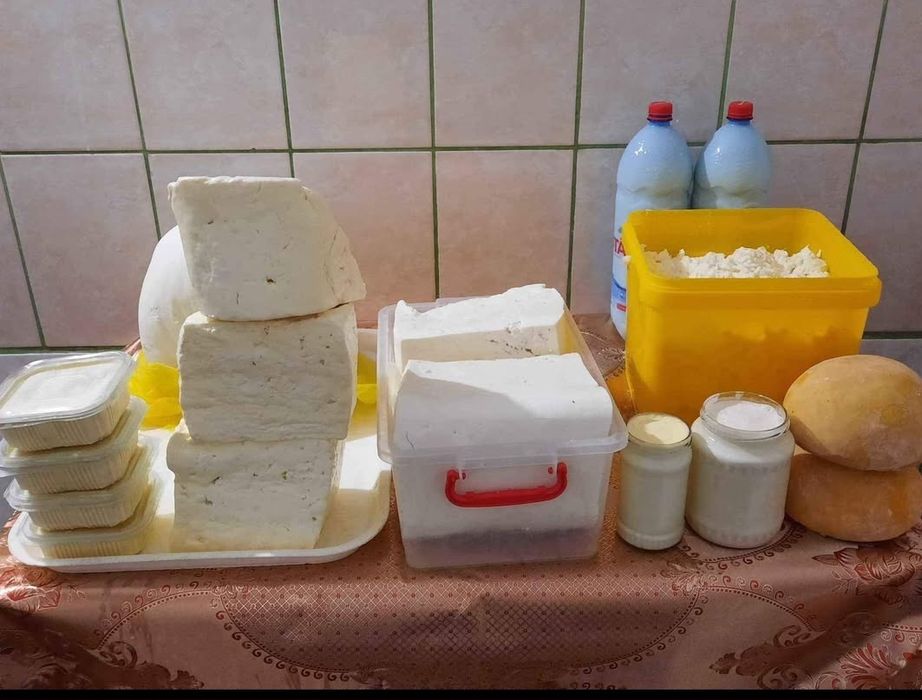 Branza !!! Unt!! Urda!! Lapte