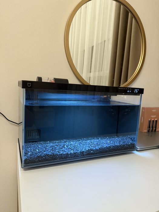 Аквариум Ксиоми