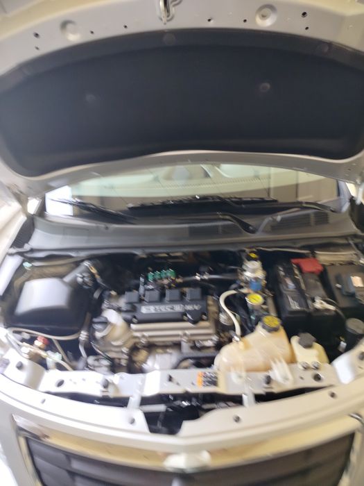 2019 cobilt radnoy