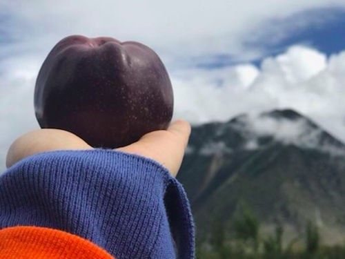 Mar Deosebit ( Soiul Black Diamond )