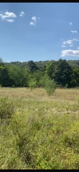 Teren Extravilan 22.565 mp – Ciomăgești, Argeș