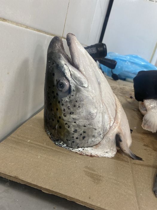 Балық басы сатылады