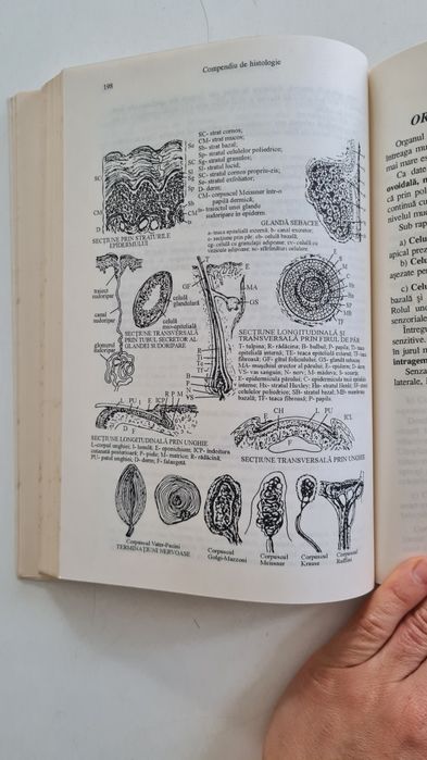 Compendiu de histologie Ion Gherman 1993