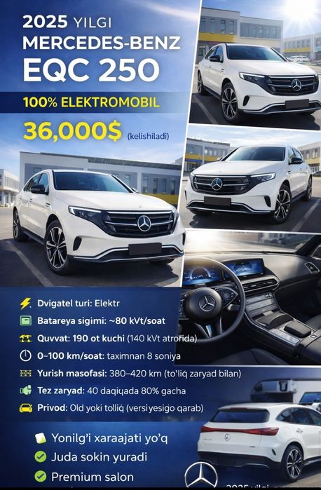 Mercedes- benz EQC 250