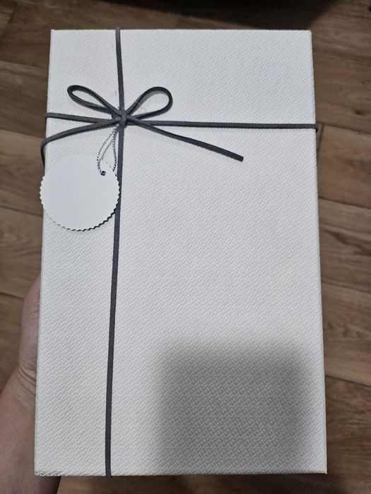 Dana Budeanu manual de stil