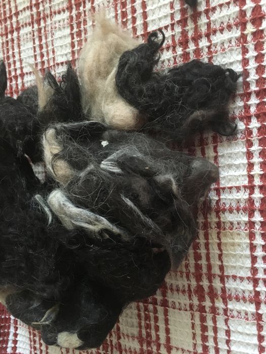 Продам собачью шерсть