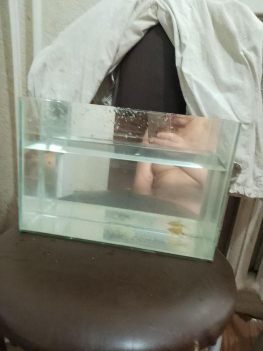 Продам аквариум с рыбкой или обмен