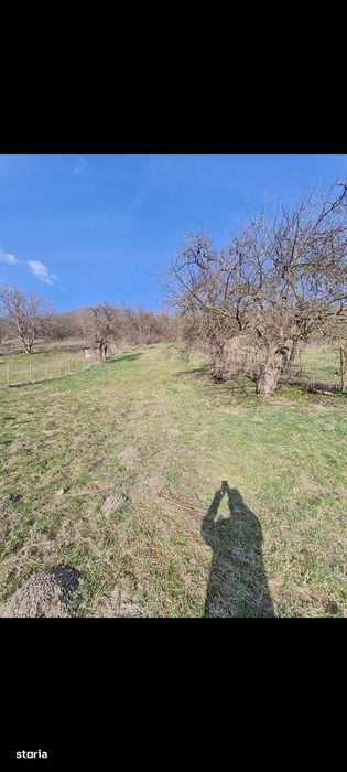 Teren intravilan de vânzare în centrul localității Bozeni – 1700 mp