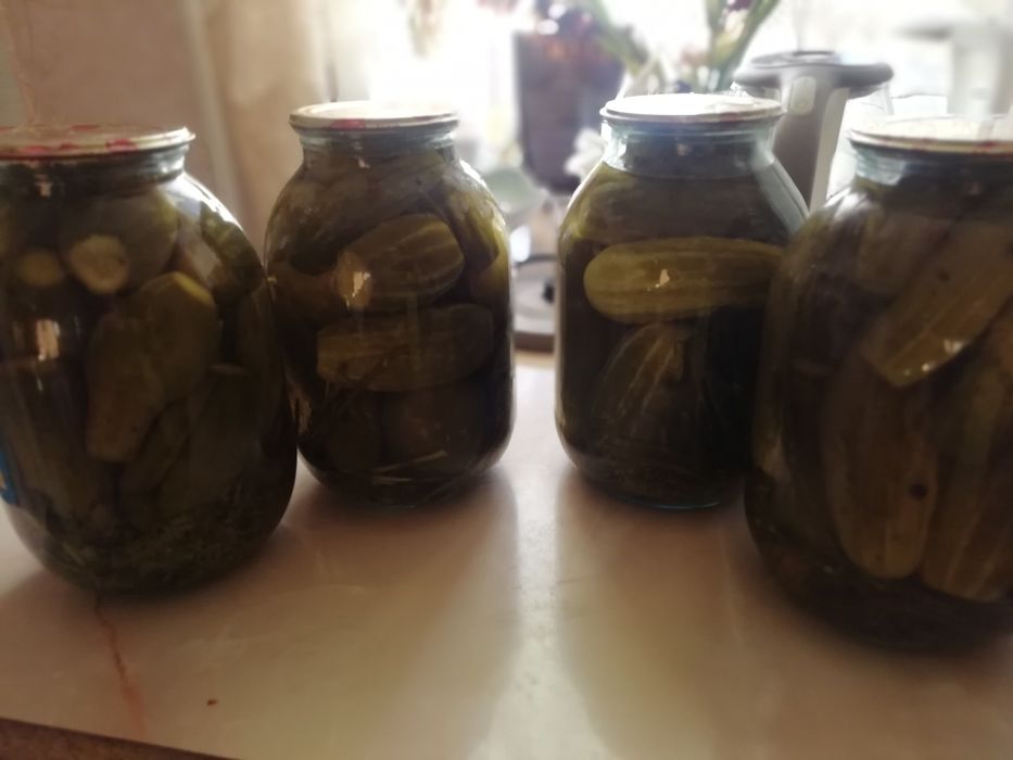 Соленья домашние