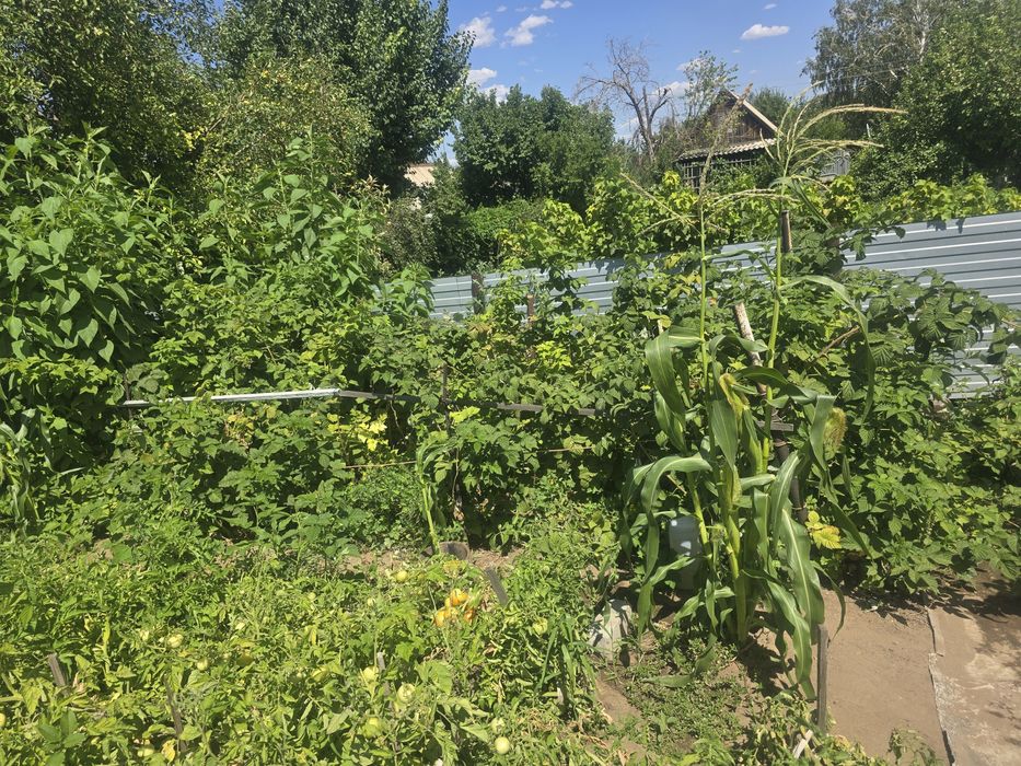 Продам дачу Медьзавод