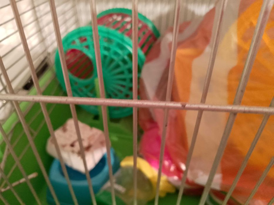 Клетка за хамстери