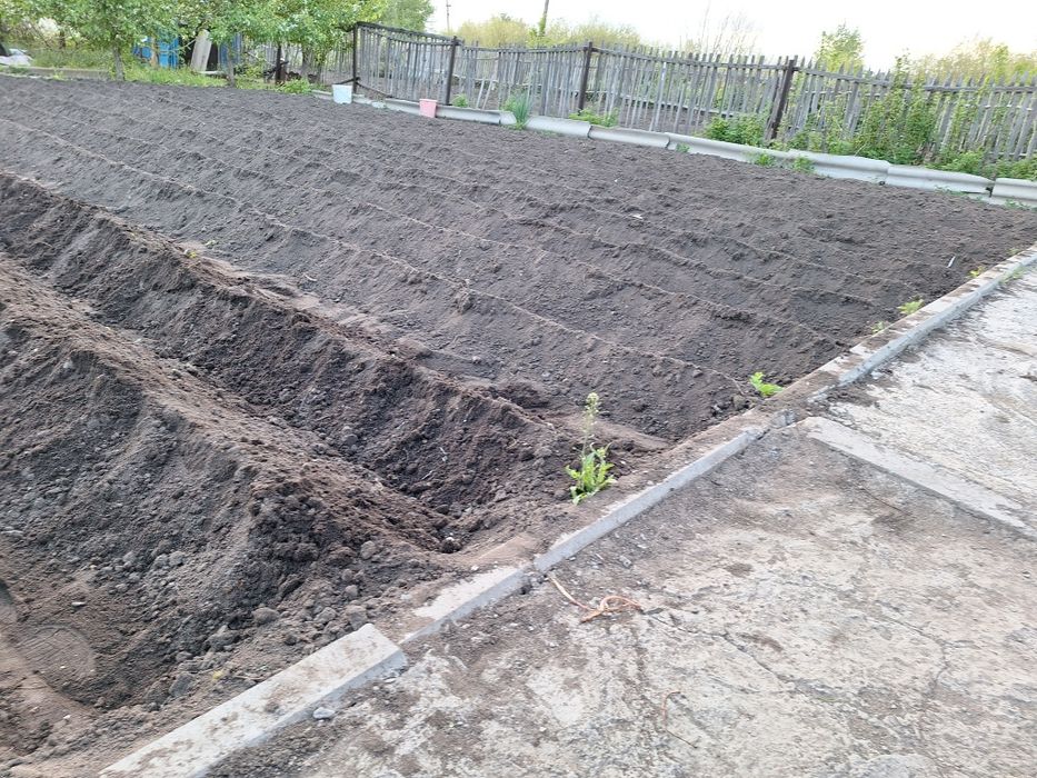 Продам дачу в Сортировке, общество Ромашка