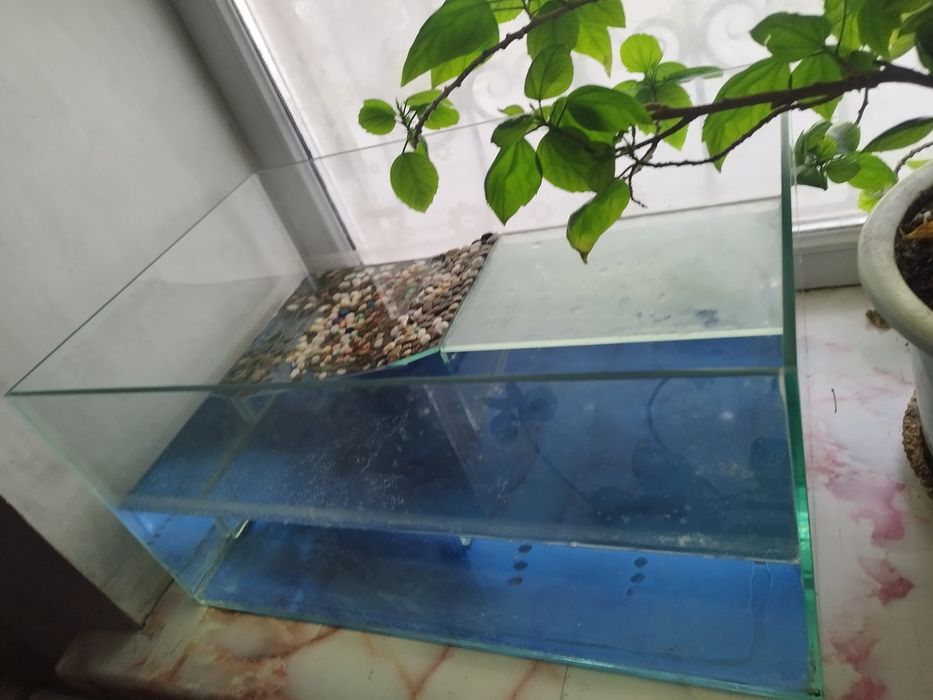 Терариум для земноводных