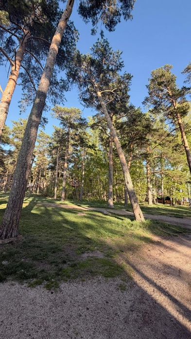 Домики на берегу озера в центре