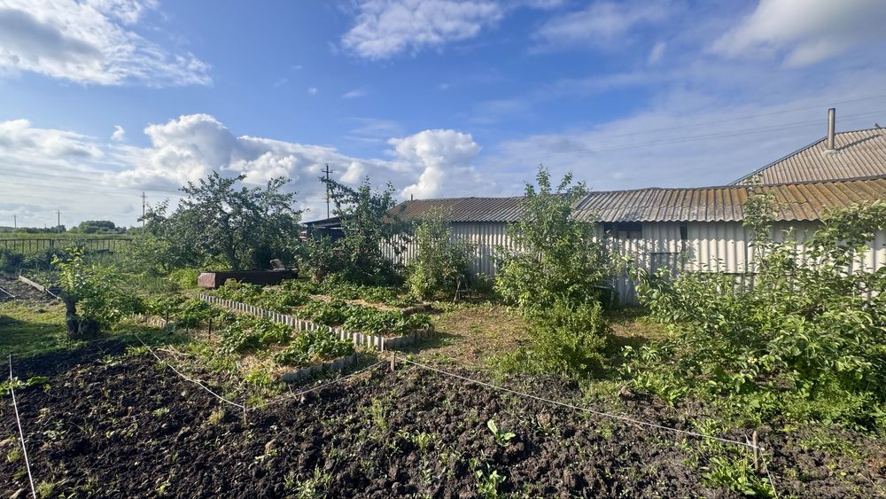 Продам дом г. Мамлютка