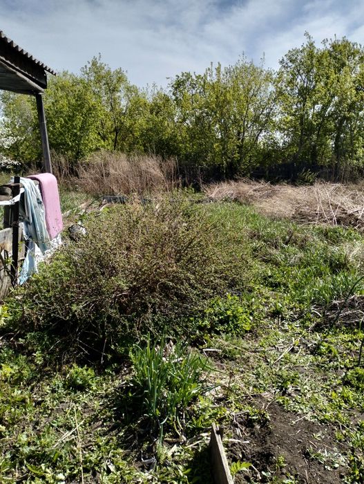 Дача Оптимист Павлодарская трасса