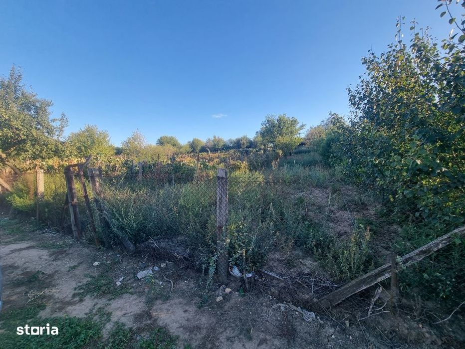 Teren intravilan , 1100mp , front 12,60 m , intrare Filiasi