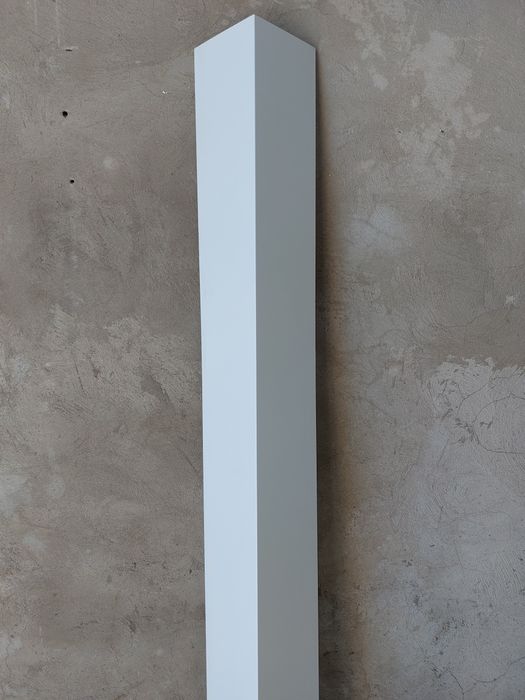 Конёк кровельный