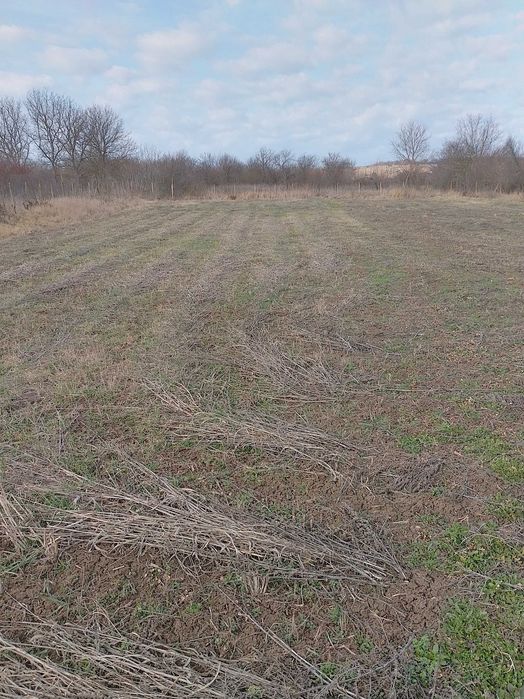 Продава се Парцел в с. Дряновец, Област Разград - 2090 кв.м за 5 €/кв.м - Снимка #1