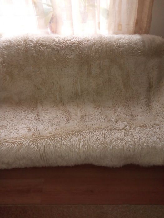 Китеници. Различни цветове