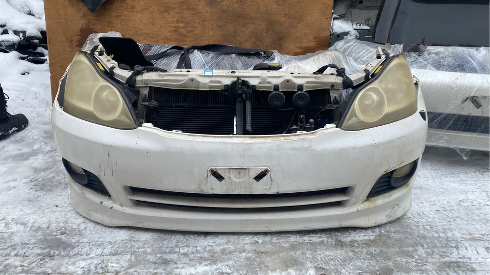 Ноускат Ипсум S комплектация