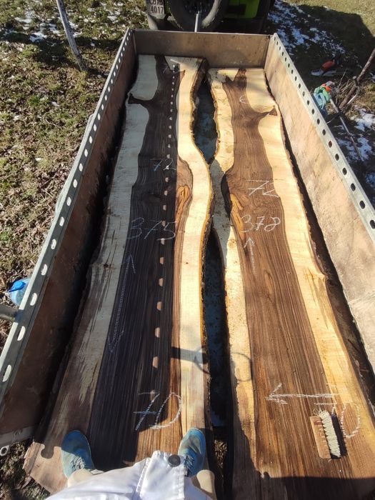 Големи янове орех