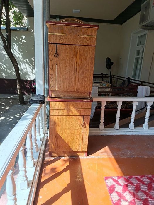 Tekinga tumbucha beraman