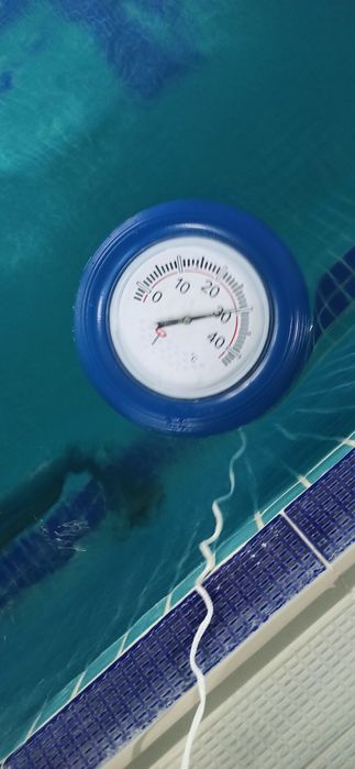 Катталар ва болалар учун сузиш машгулоти