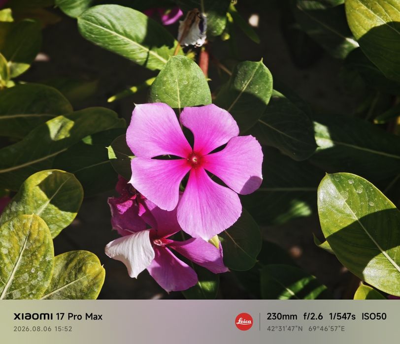 Xiaomi 17 Pro Max
