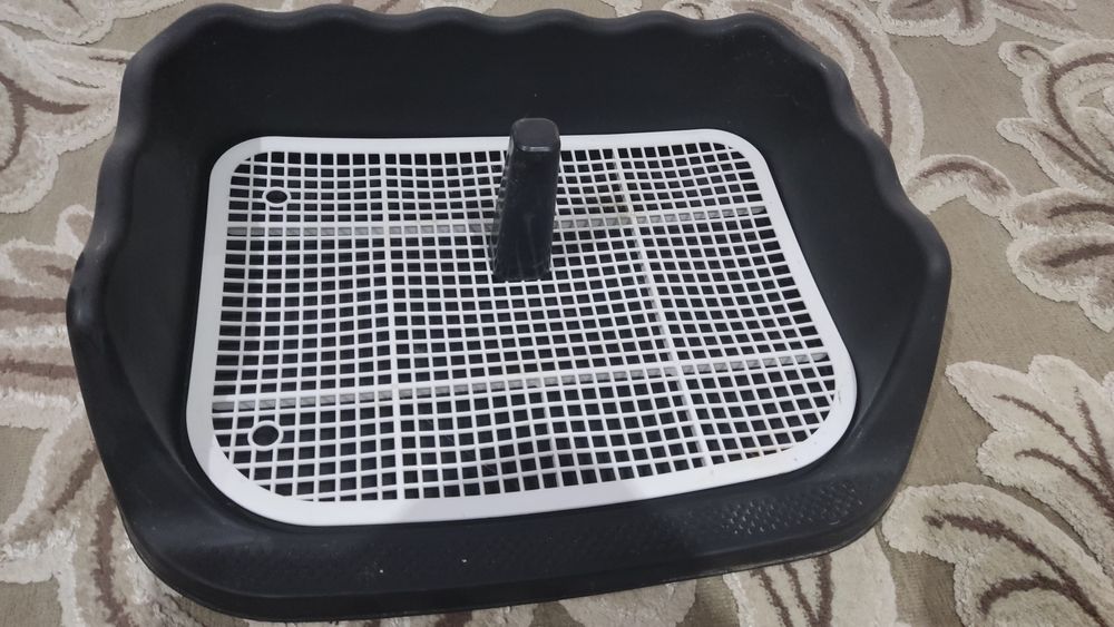 Лоток для собак новый