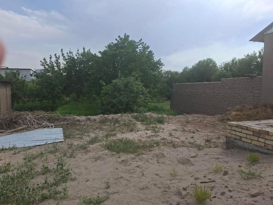 Хонка Мадрида турам жой урни