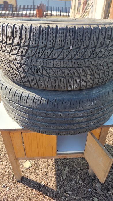 Отдам за фрукты обе