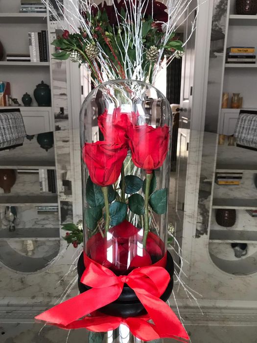 Trandafir criogenat rosu