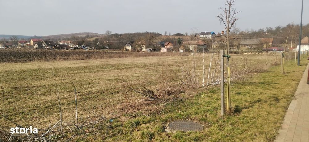 teren intravilan Colina Noua