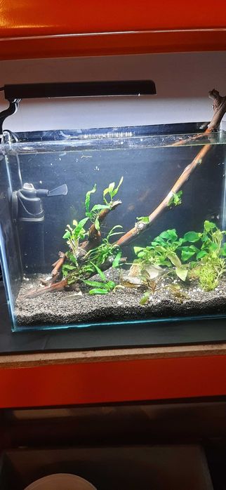 Acvariu  23 l si 112 l