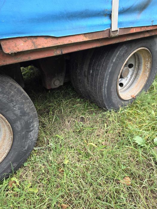 Remora Schmitz - Gotha