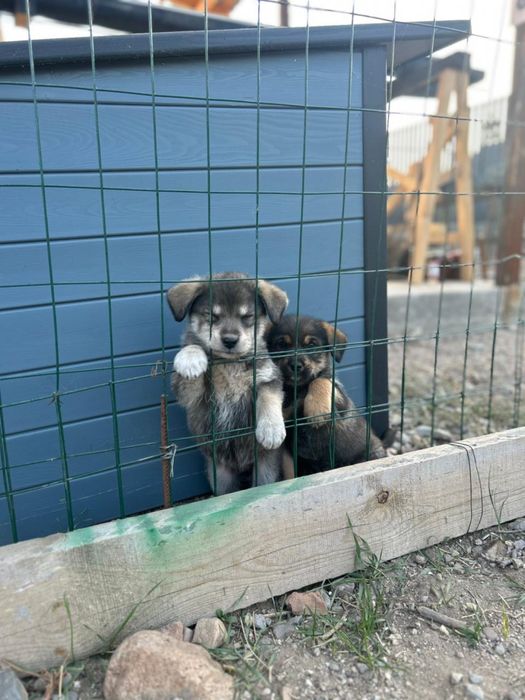 Мальчик и девочка