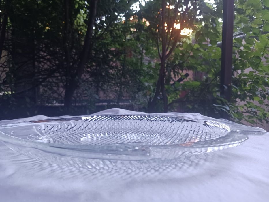 Tăviăță pește din sticlă rezistentă la foc