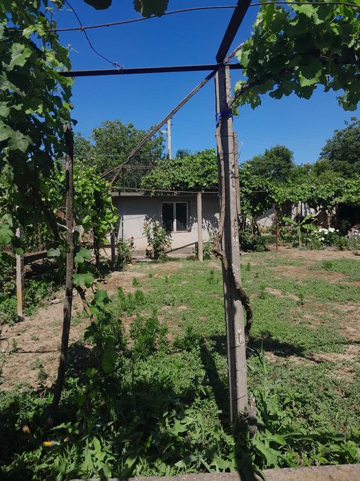 Продава се Парцел в Елена - 750 кв.м за 30 €/кв.м - Снимка #7