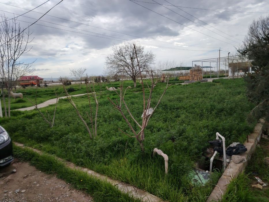 Чойхона нотурар жой тайёр безниси билан.
