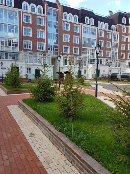 ОЗЕЛЕНЕНИЕ Профессионально