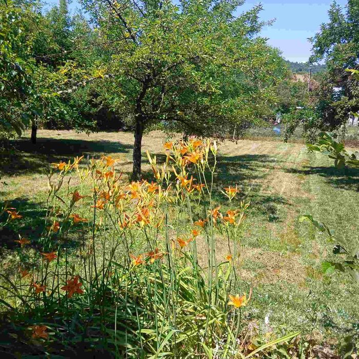 Продавам тухлена къща в село Ваксево област Кюстендил