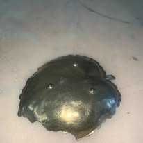 Mini scrumiera din bronz