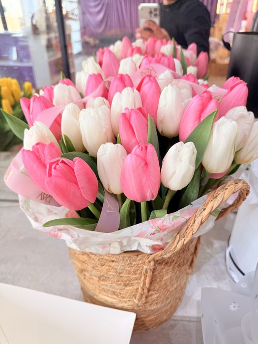 Қызғалдақ, Тюльпан