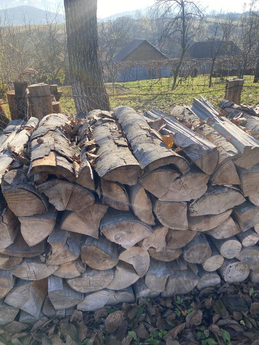 Lemne de fag pentru foc