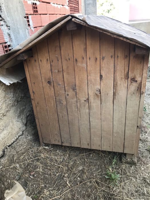 Масивна, голяма кучешка колиба