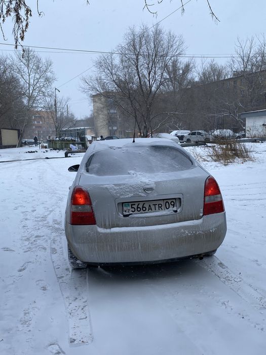 Продам малина ниссан примера п12