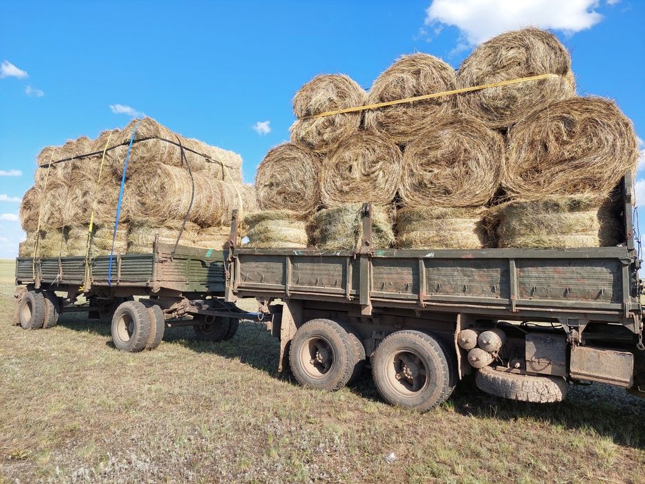 Шөп сатылады доставка +12.000