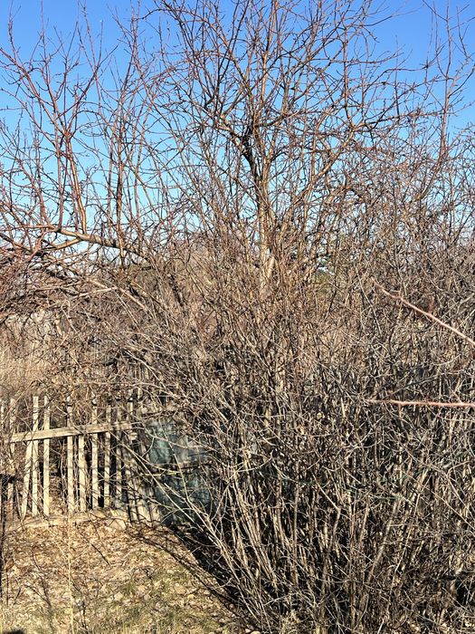 Продам дачу в сообщество горняк