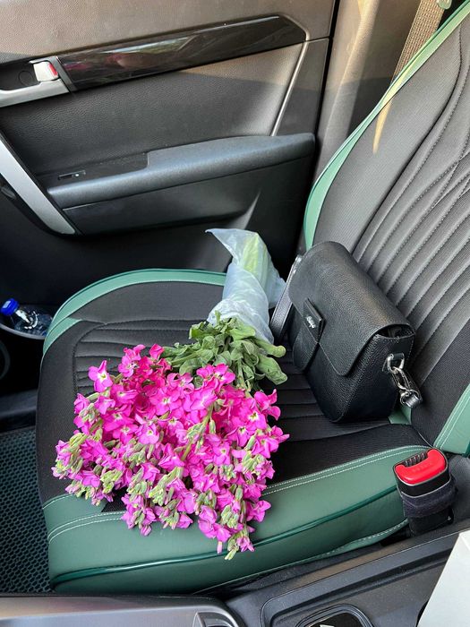 Автомобильные чехлы